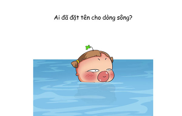 Dòng cảm xúc của các thí sinh 
