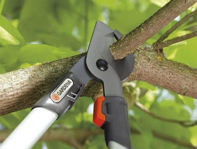 Kéo cắt cành trên cao là dụng cụ không thể thiếu trong chăm sóc cây cối.