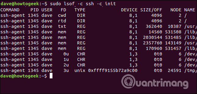 Đầu ra lệnh tìm các file được mở bởi tiến trình cụ thể 