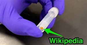 Đã nén thành công 16GB dữ liệu văn bản Wikipedia vào chuỗi DNA