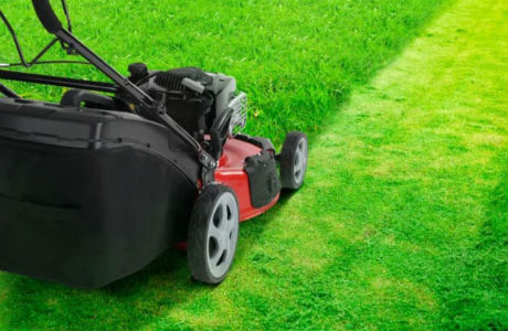 Máy cắt cỏ xe đẩy vận hành không tốn sức, công suất mạnh, cắt cỏ nhanh trên diện tích lớn.