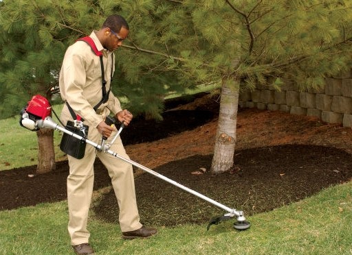 máy cắt cỏ Oshima có tốt không