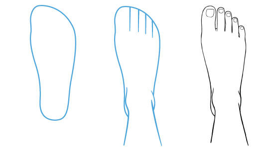 Nền tảng giải phẫu người  cách vẽ chân