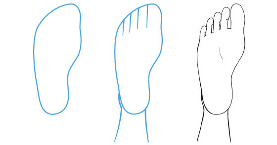 Tạo hình bàn chân và ứng dụng trong vẽ truyện tranh