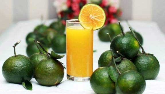 Chế độ ăn giảm cholesterol