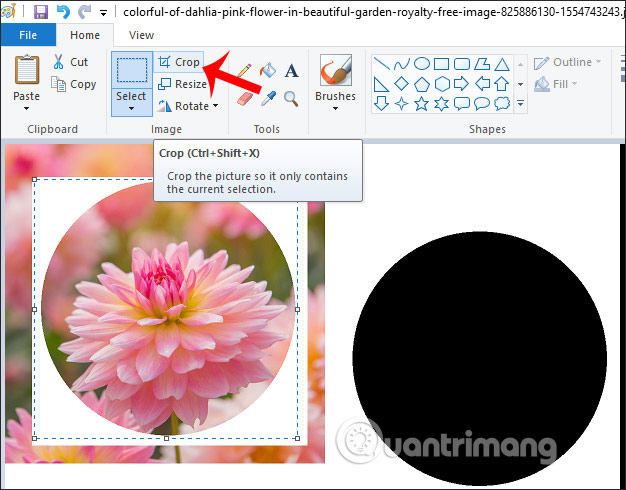 Cách cắt ảnh hình tròn trên Paint - Cắt theo hình dạng khác nhau