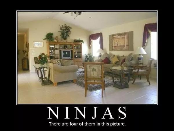 Bạn có thể nhìn thấy 4 ninja đang ẩn nấp không?