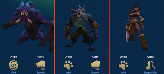 Đội hình Đấu Sĩ và Hoang Dã