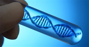 Những mâu thuẫn xung quanh vụ bán lọ nước tắm giá 30 USD và câu hỏi thú vị về DNA