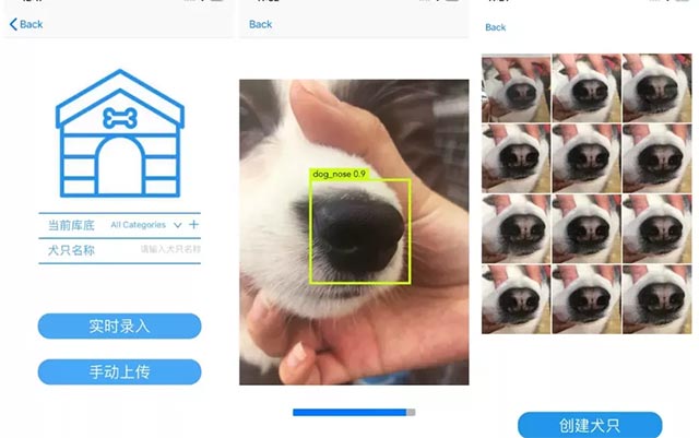Theo dõi những chú chó thất lạc thông qua “dấu vân mũi”