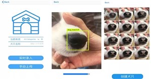 Công ty khởi nghiệp Trung Quốc thử nghiệm dự án theo dõi những chú chó thất lạc thông qua “dấu vân mũi”