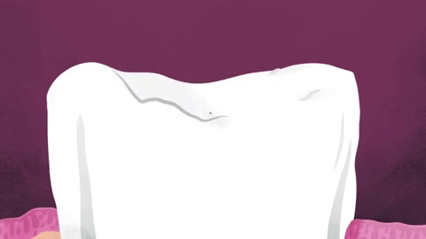 Mỗi chiếc răng con người đều được bao phủ bởi một lớp men bảo vệ chắc chắn