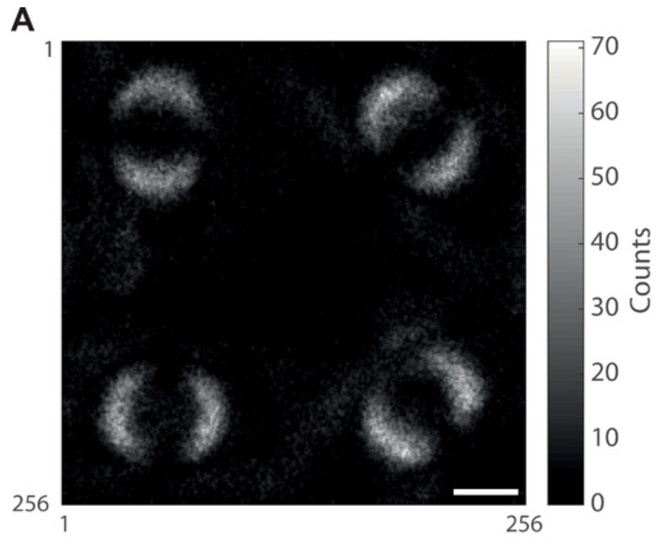 Hình ảnh các photon vướng lượng tử với nhau được chụp bởi các nhà vật lý đến từ Đại học Glasgow, Scotland.
