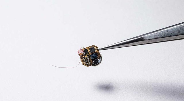 Hệ thống máy móc có kích thước siêu nhỏ dùng để gắn lên cơ thể ong nghệ