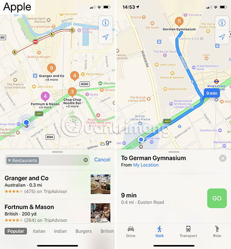 Apple dường như ít có khả năng cung cấp các tuyến đường thay thế