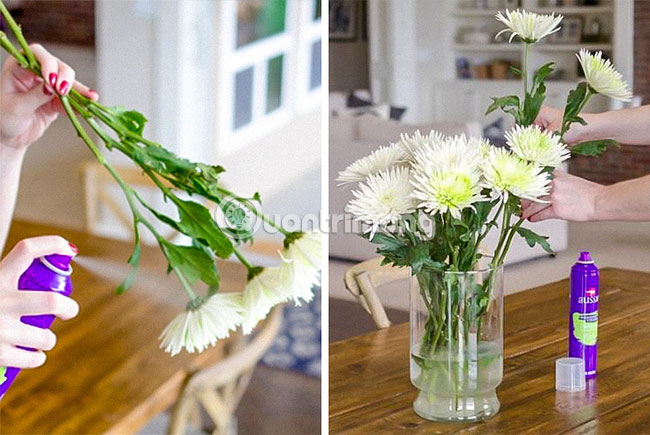 Làm cho hoa tươi lâu hơn