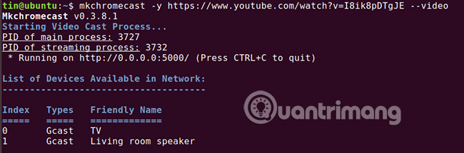 Bạn cũng có thể truyền video YouTube trực tiếp từ terminal