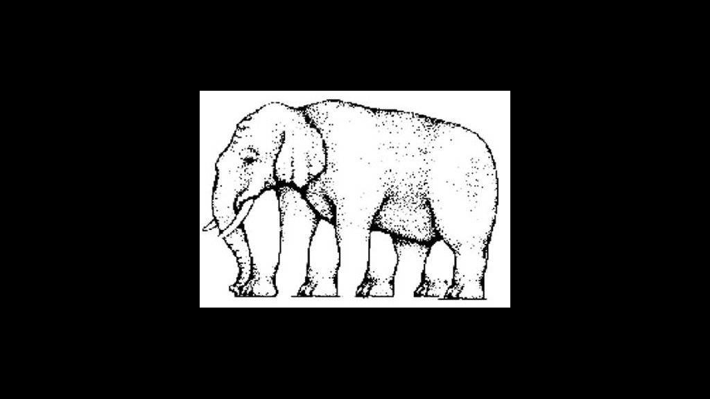 Con voi voi này có bao nhiêu chân?