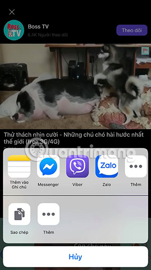 Chọn ứng dụng chia sẻ video trên Mocha