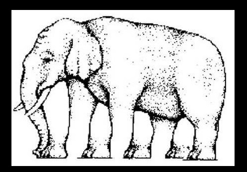 Con voi voi này có bao nhiêu chân?