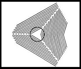 Bạn thấy vòng tròn trong bức ảnh dưới đây méo mó ư?