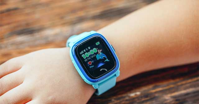setracker2 watch offline