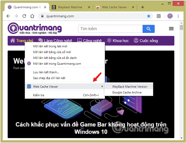 Chọn xem trang được lưu trong bộ nhớ cache từ Wayback Machine hoặc Google archive.