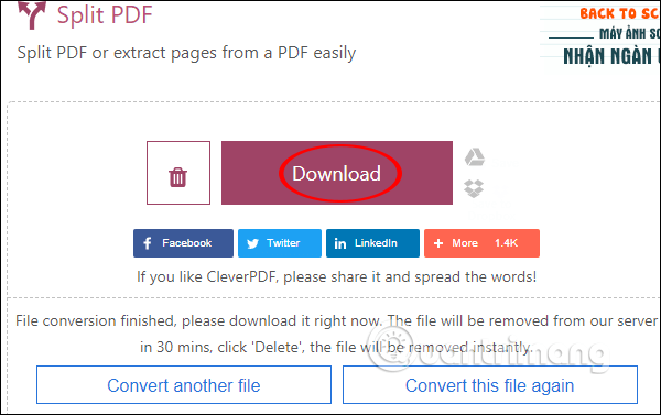 Download PDF files on CleverPDF
