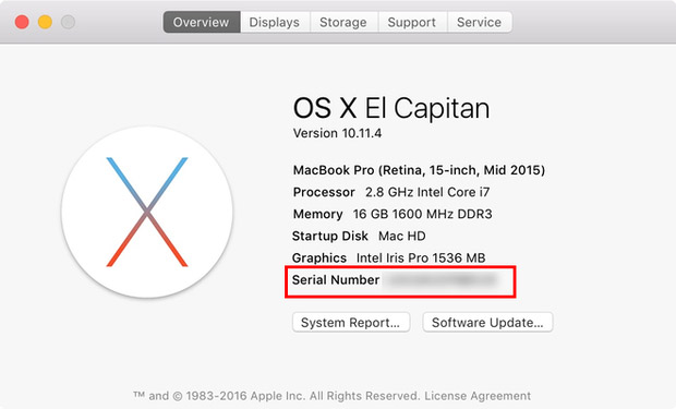 Copy phần Serial Number