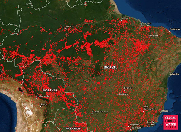 Bản đồ thể hiện vị trí của tất cả các vụ cháy rừng tại Brazil từ ngày 13/8. Ảnh: Global Forest Watch.