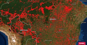 Cháy rừng Amazon, khí CO phủ đỏ bản đồ của NASA