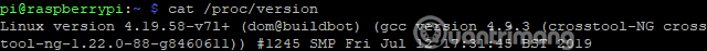 Chạy lệnh cat /proc/version
