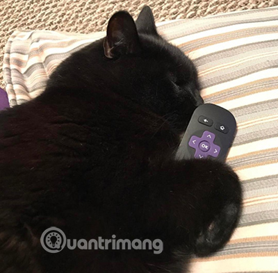Roku hoạt động như thế nào?