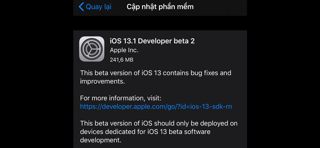 Cập nhật iPadOS 13.1/iOS 13.1 beta 2