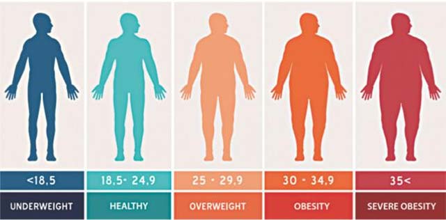Mô phỏng thể trạng con người theo chỉ số BMI