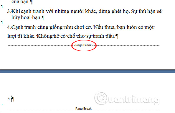 Cách xóa trang trắng trong Word cực dễ - Ảnh minh hoạ 2