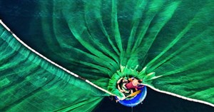 Nhiếp ảnh gia Việt Nam giành giải nhất tại 1 trong những cuộc thi nhiếp ảnh thiên nhiên lớn nhất thế giới