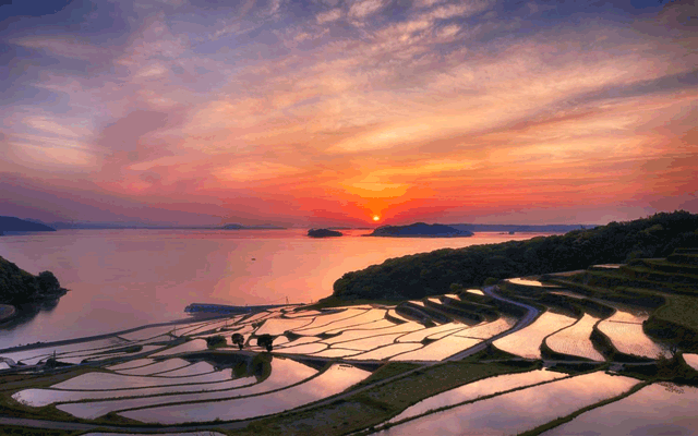 Hình ảnh đồng ruộng