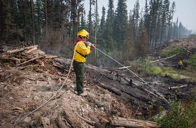 Những khu vực thường xuyên xảy ra cháy rừng đòi hỏi phải có những nỗ lực quản lý triệt để hơn