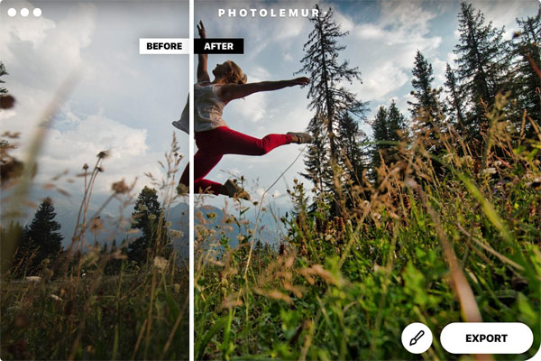 Photolemur 5