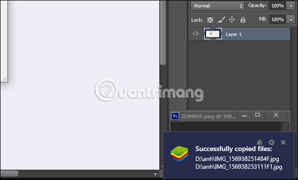 Thông báo đã sao chép ảnh
