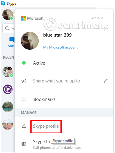 Skype Profile
