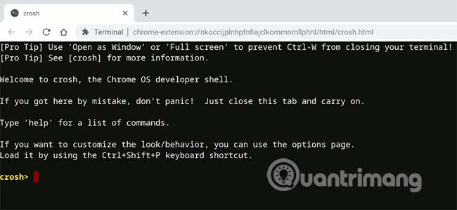 Mở trình duyệt Chrome và nhấn Ctrl+Alt+T để khởi chạy trình Crosh shell