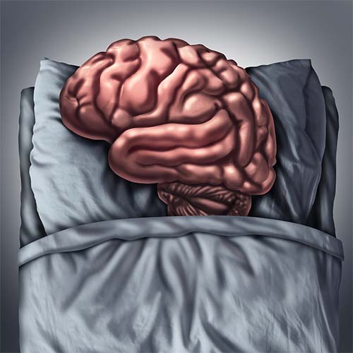 Giấc ngủ là lúc não bộ thực hiện quá trình "dọp dẹp bộ nhớ" lược bỏ những thông tin không quan trọng