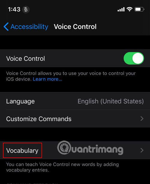 Để thực hiện việc này, trong phần Voice Control , nhấp vào Vocabulary