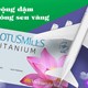 Cách cộng dặm Bông sen vàng