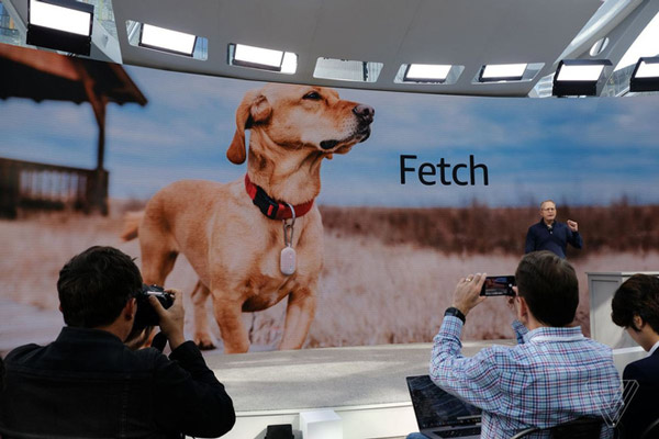 Thiết bị đeo cổ Ring Fetch giúp bạn có thể theo dõi thú cưng khi thả chúng chơi tự do.