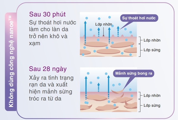 Tỷ lệ mất nước trên da khi không sử dụng cn NanoE