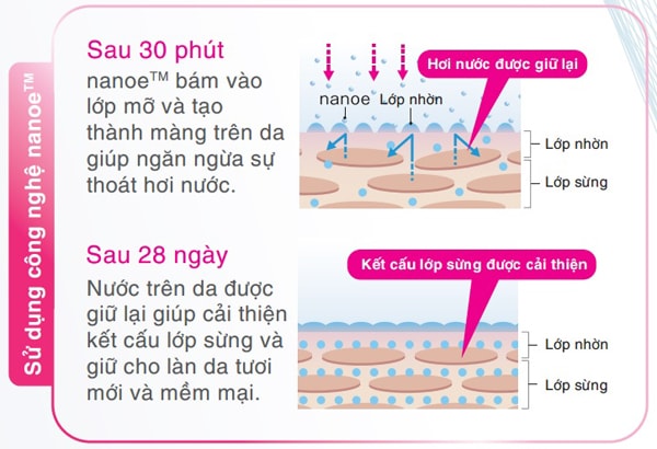 Tỷ lệ mất nước trên da khi dùng cn NanoE