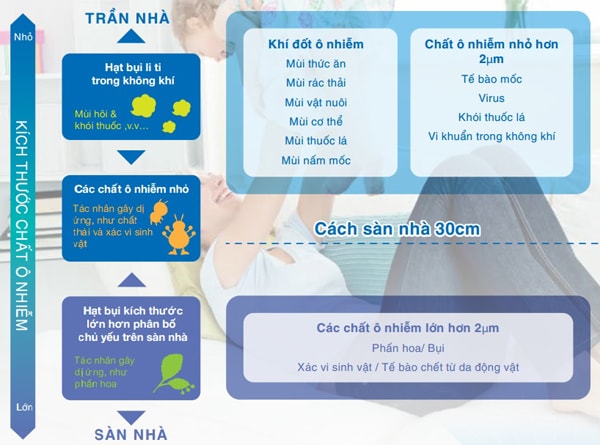 Các loại vi khuẩn thường xuất hiện trên dàn nhà